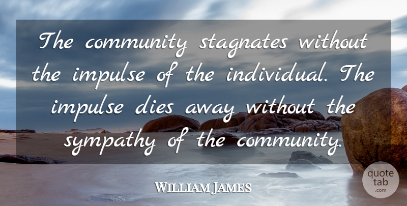 William James Quote About Friendship, Sympathy, Community: The Community Stagnates Without The...