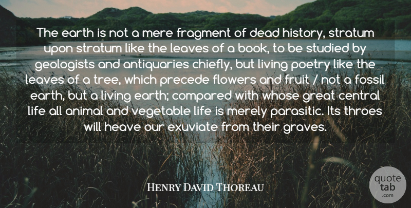 Henry David Thoreau Quote About Beautiful, Nature, Flower: The Earth Is Not A...