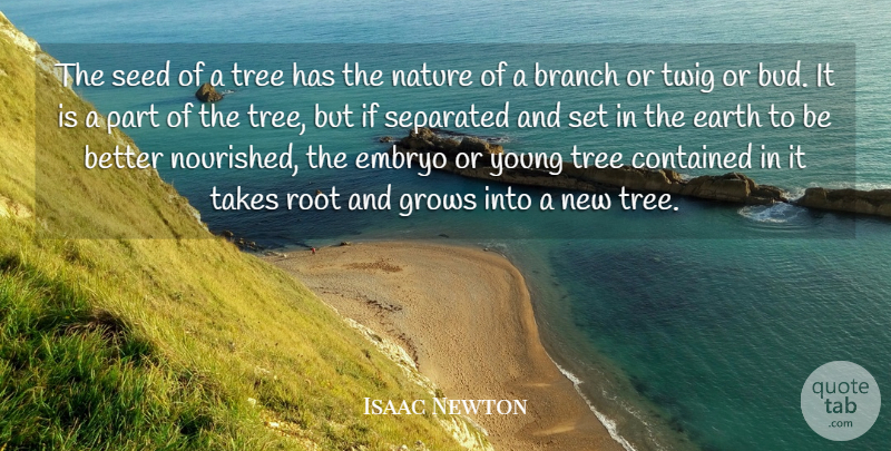 Isaac Newton Quote About Roots, Tree, Bud: The Seed Of A Tree...