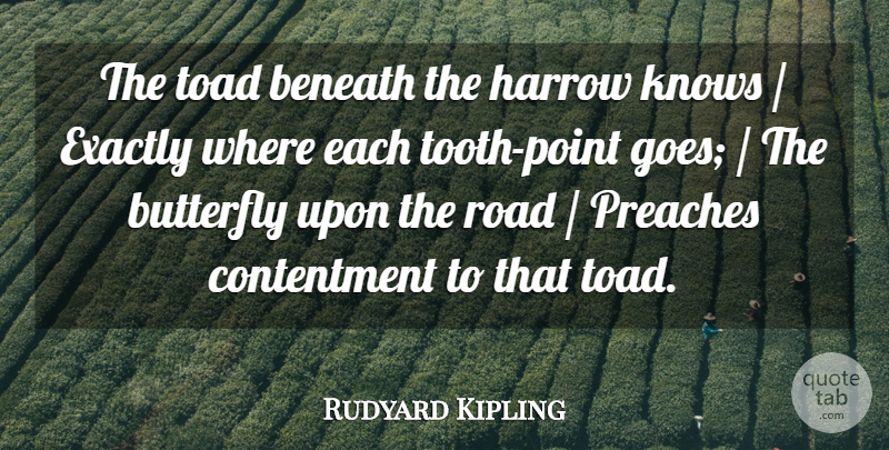 Rudyard Kipling Quote About Beneath, Butterfly, Contentment, Exactly, Knows: The Toad Beneath The Harrow...