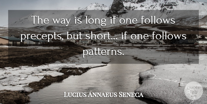 Lucius Annaeus Seneca Quote About undefined: The Way Is Long If...