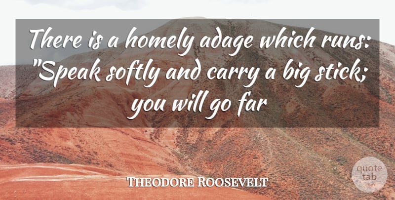 Theodore Roosevelt Quote About Adage, Carry, Far, Homely, Softly: There Is A Homely Adage...