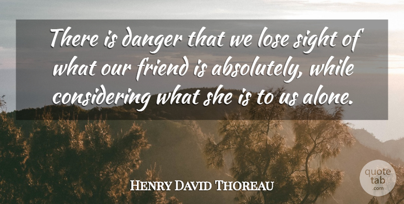 Henry David Thoreau Quote About Friends, Sight, Sky: There Is Danger That We...