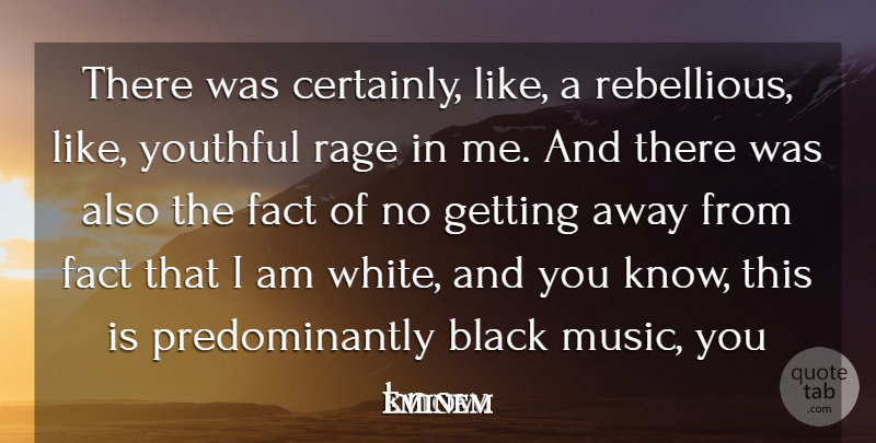 Eminem Quote About Fact, Music, Rage, Youthful: There Was Certainly Like A...