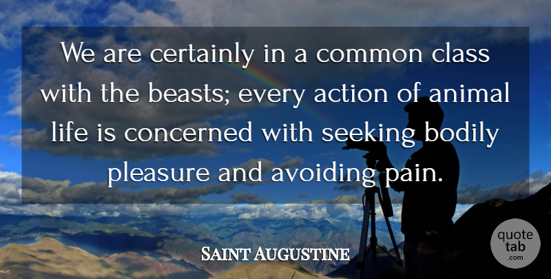 Saint Augustine Quote About Pain, Animal, Class: We Are Certainly In A...