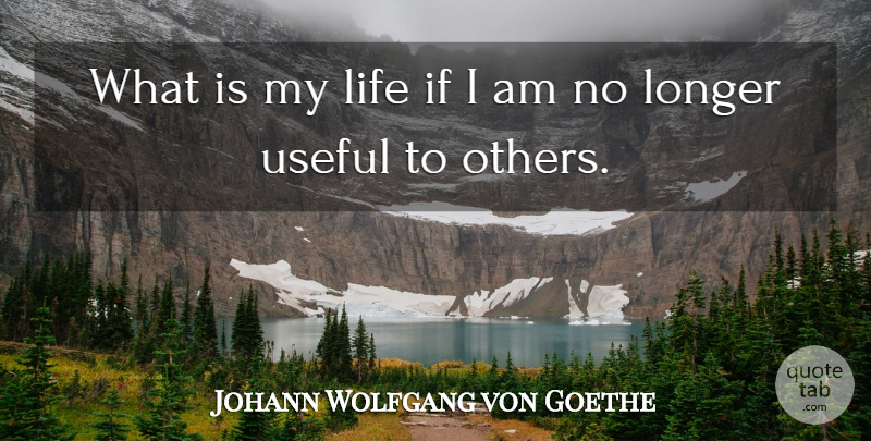 Johann Wolfgang von Goethe Quote About Life, Literature, Ifs: What Is My Life If...