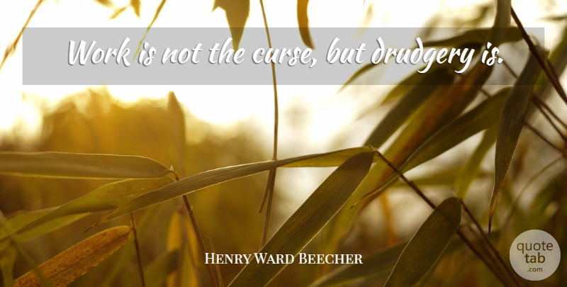 Henry Ward Beecher Quote About Drudgery, Work: Work Is Not The Curse...