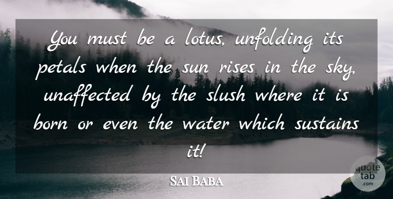 Sai Baba Quote About Beauty, Sky, Water: You Must Be A Lotus...