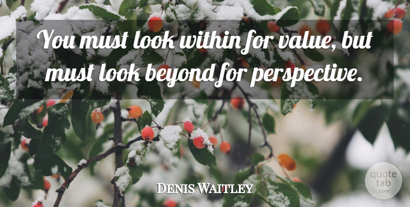 Denis Waitley Quote About Perspective, Looks, Values: You Must Look Within For...