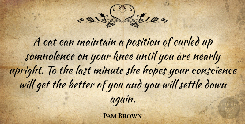 Pam Brown Quote About Hope, Cat, Knees: A Cat Can Maintain A...