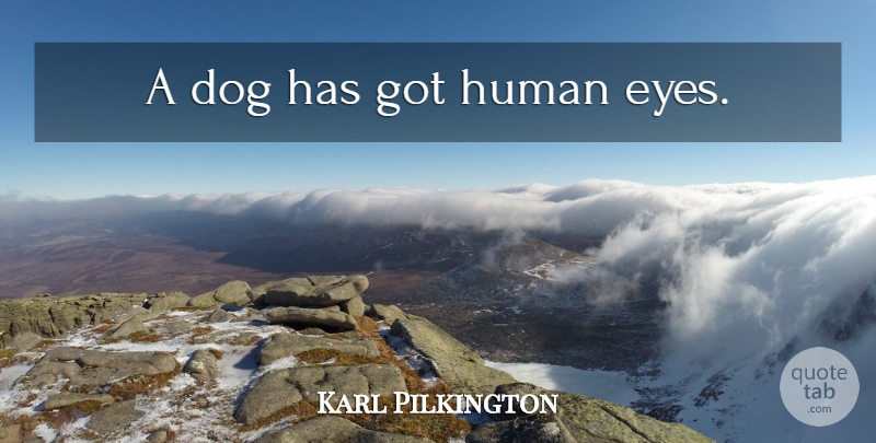 Karl Pilkington Quote About Dog, Eye, Humans: A Dog Has Got Human...