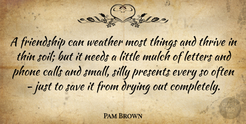 Pam Brown Quote About Friendship, Silly, Phones: A Friendship Can Weather Most...
