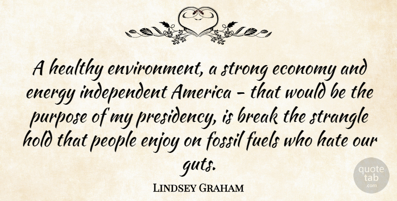 Lindsey Graham Quote About America, Break, Economy, Energy, Enjoy: A Healthy Environment A Strong...