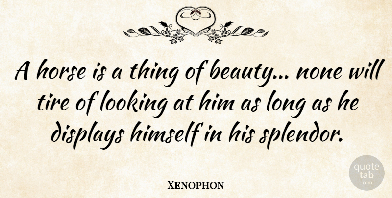 Xenophon Quote About Beauty, Himself, None, Quotes, Tire: A Horse Is A Thing...