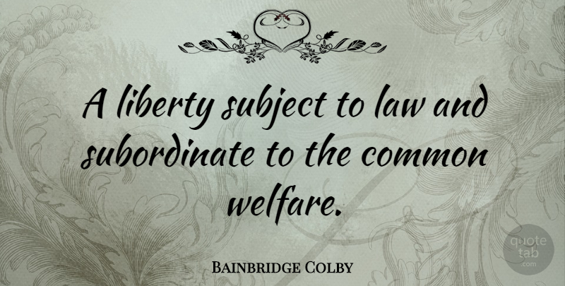 Bainbridge Colby Quote About Law, Liberty, Common: A Liberty Subject To Law...