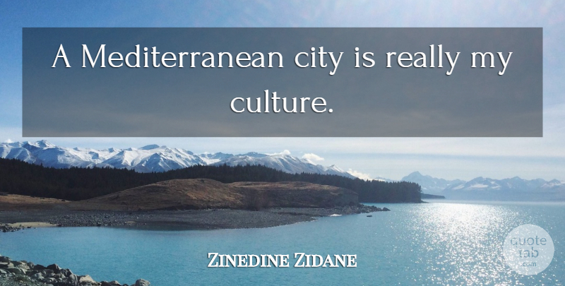 Zinedine Zidane Quote About Cities, Culture: A Mediterranean City Is Really...