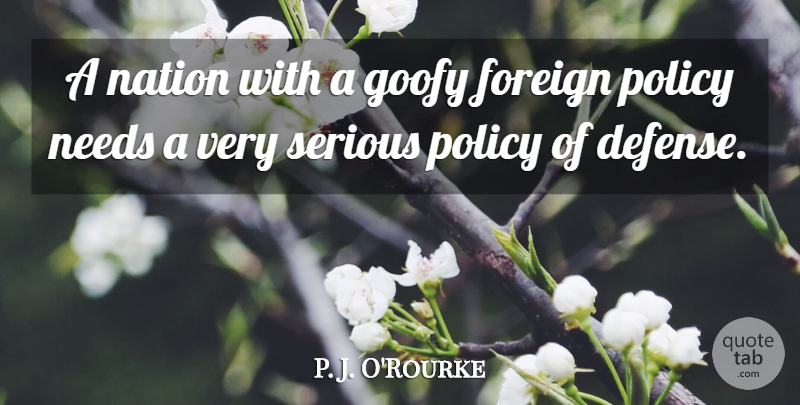 P. J. O'Rourke Quote About Needs, Defense, Serious: A Nation With A Goofy...