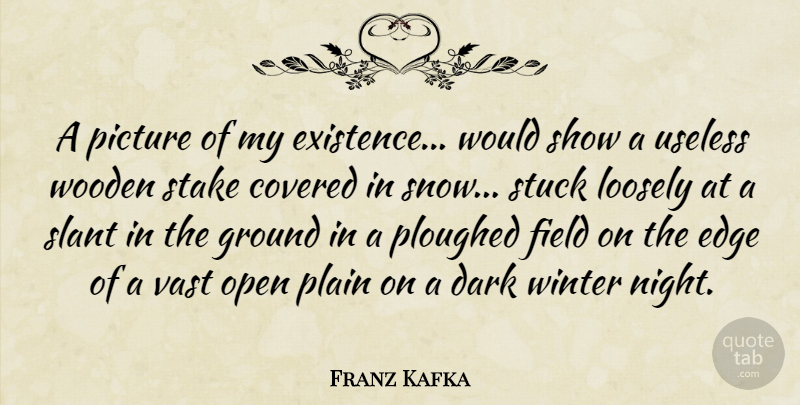 Franz Kafka Quote About Dark, Winter, Night: A Picture Of My Existence...