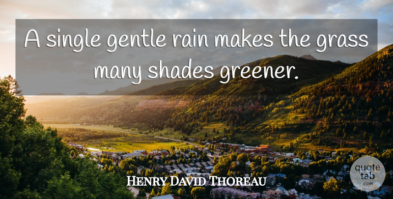 Henry David Thoreau Quote About Rain, Shade, Walden Pond: A Single Gentle Rain Makes...