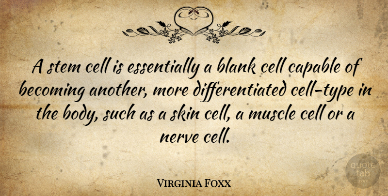 Virginia Foxx Quote About Cells, Skins, Body: A Stem Cell Is Essentially...