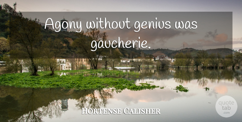 Hortense Calisher Quote About Agony, Suffering, Genius: Agony Without Genius Was Gaucherie...