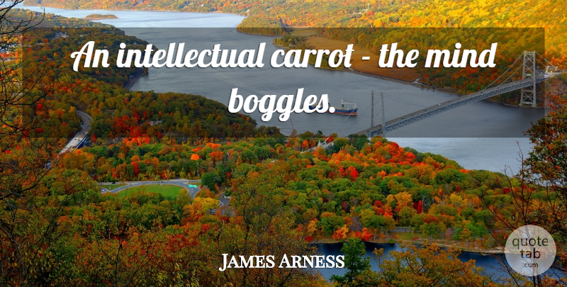 James Arness Quote About Mind, Intellectual, Another World: An Intellectual Carrot The Mind...