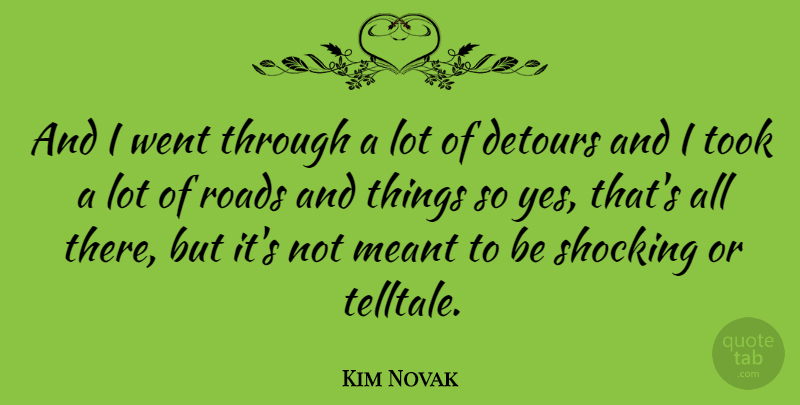 Kim Novak Quote About Meant, Took: And I Went Through A...