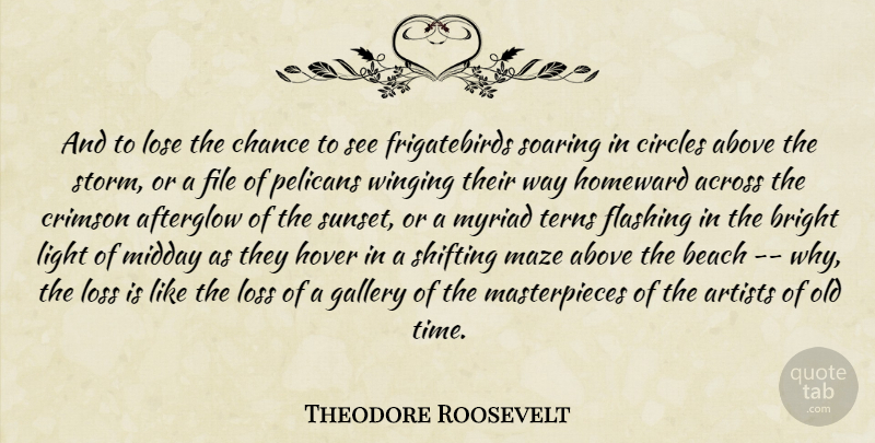 Theodore Roosevelt Quote About Beach, Sunset, Loss: And To Lose The Chance...