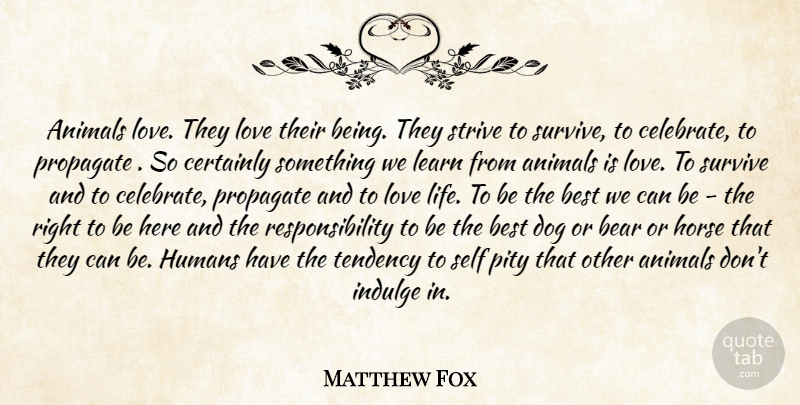 Matthew Fox Quote About Dog, Horse, Love Life: Animals Love They Love Their...