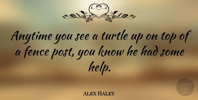 Alex Haley Quote About Funny, Animal, Turtles: Anytime You See A Turtle...