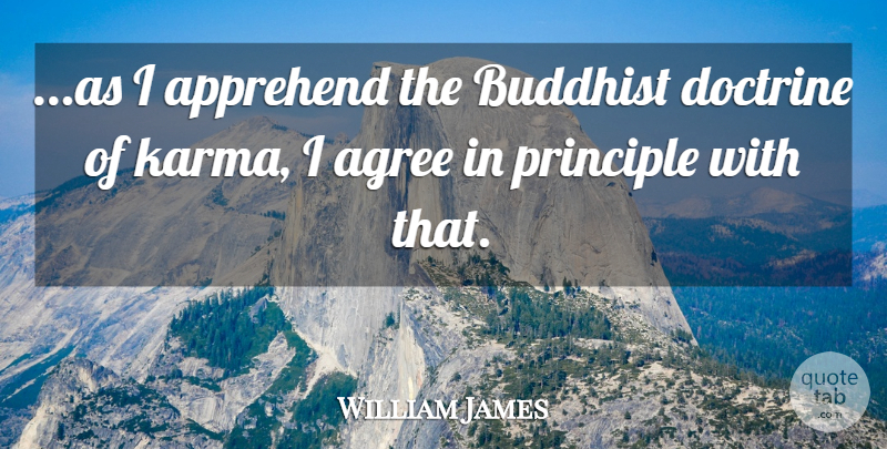 William James Quote About Karma, Buddhist, Principles: As I Apprehend The Buddhist...