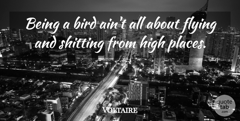 Voltaire Quote About Bird, Flying, High Places: Being A Bird Aint All...