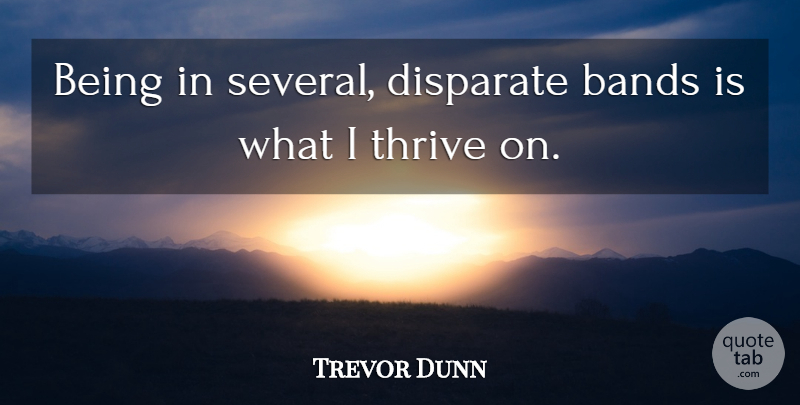 Trevor Dunn Quote About Band, Thrive: Being In Several Disparate Bands...