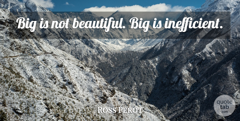 Ross Perot Quote About Beautiful, Efficiency, Bigs: Big Is Not Beautiful Big...