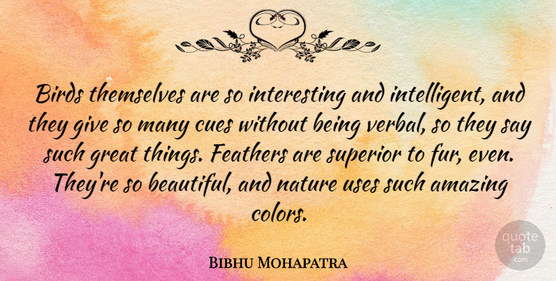 Bibhu Mohapatra Quote About Beautiful, Intelligent, Color: Birds Themselves Are So Interesting...