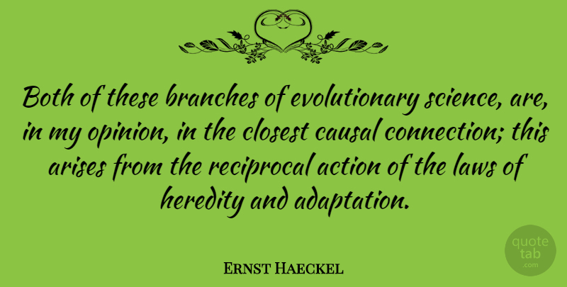 Ernst Haeckel Quote About Law, Branches, Connections: Both Of These Branches Of...