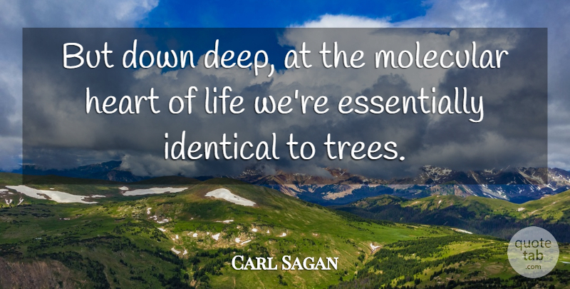 Carl Sagan Quote About Heart, Tree, Identical: But Down Deep At The...
