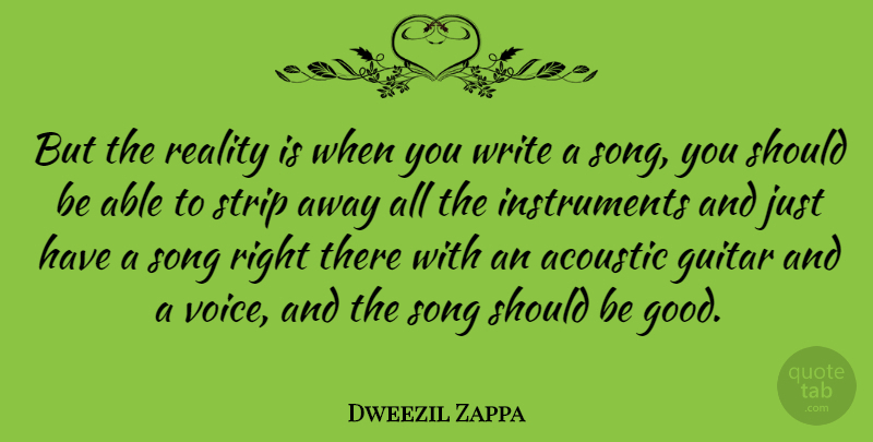 Dweezil Zappa Quote About Song, Writing, Reality: But The Reality Is When...