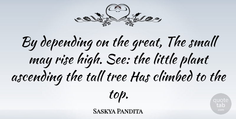 Saskya Pandita Quote About Ascending, Climbed, Depending, French Scientist, Plant: By Depending On The Great...