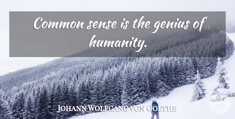 Johann Wolfgang von Goethe Quote About Meaningful, Common Sense, Humanity: Common Sense Is The Genius...