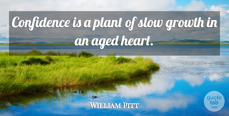 William Pitt Quote About Aged, Plant, Slow: Confidence Is A Plant Of...