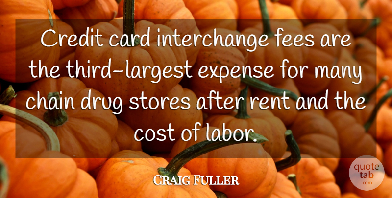 Craig Fuller Quote About Card, Chain, Cost, Credit, Expense: Credit Card Interchange Fees Are...