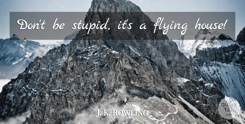 J. K. Rowling Quote About Stupid, House, Flying: Dont Be Stupid Its A...