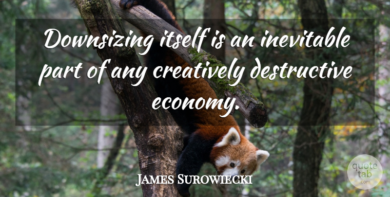James Surowiecki Quote About Marketing, Insightful, Economy: Downsizing Itself Is An Inevitable...