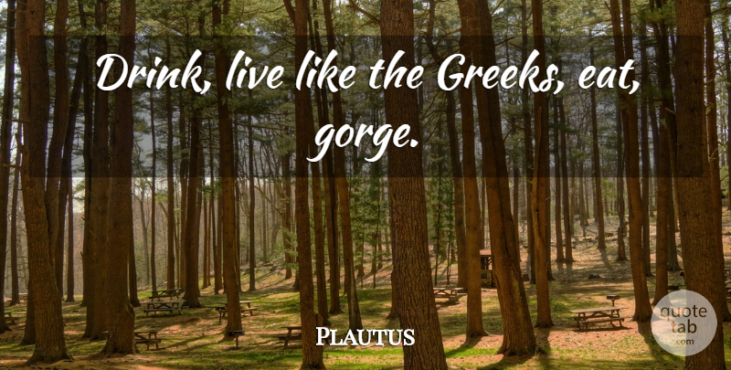 Plautus Quote About Greek, Gorges, Drink: Drink Live Like The Greeks...