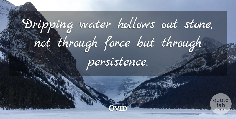 Ovid Quote About Life Changing, Persistence, Water: Dripping Water Hollows Out Stone...