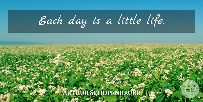 Arthur Schopenhauer Quote About Each Day, Littles: Each Day Is A Little...