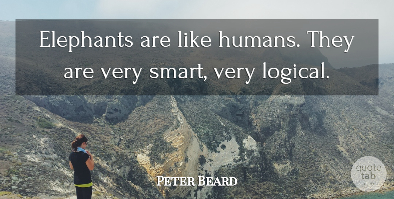 Peter Beard Quote About undefined: Elephants Are Like Humans They...