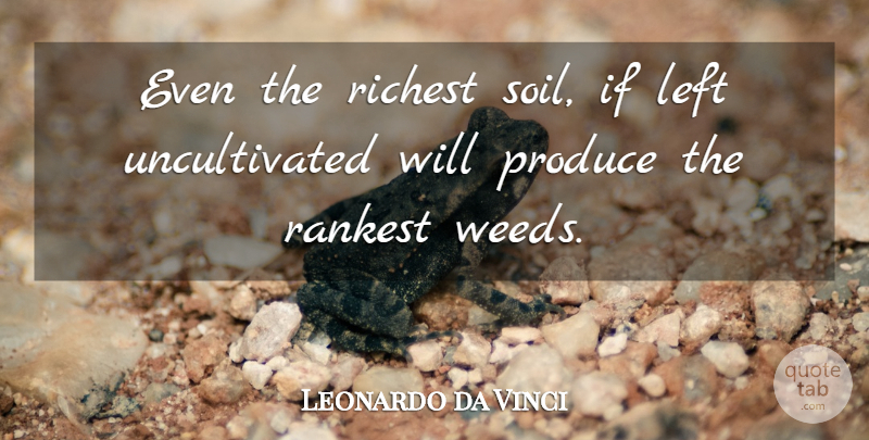 Leonardo da Vinci Quote About Life, Weed, Soil: Even The Richest Soil If...