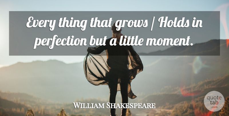 William Shakespeare Quote About Perfection, Littles, Moments: Every Thing That Grows Holds...